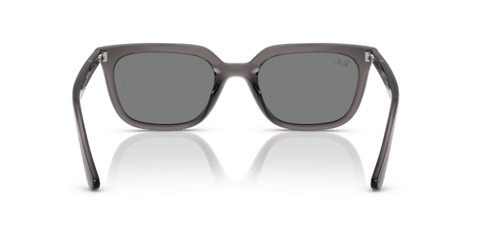 Transparent Grey - 0RB4439D 8056262268957