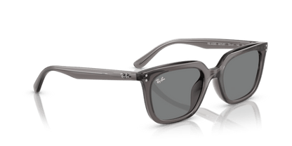 Transparent Grey - 0RB4439D 8056262268957