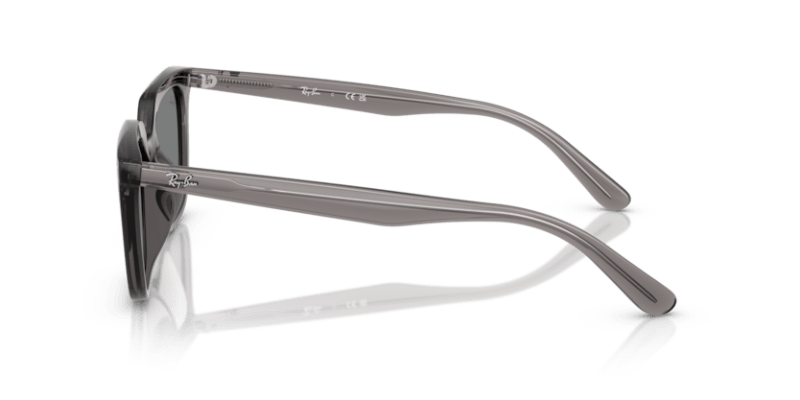 Transparent Grey - 0RB4439D 8056262268957