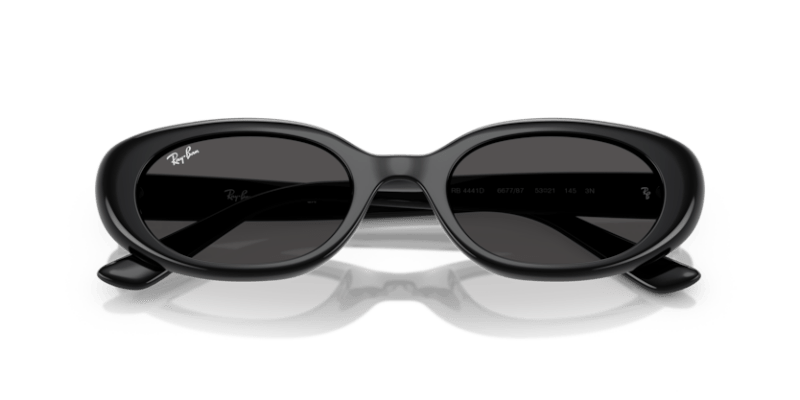 Black - 0RB4441D 8056262268902