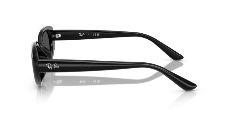 Black - 0RB4441D 8056262268902