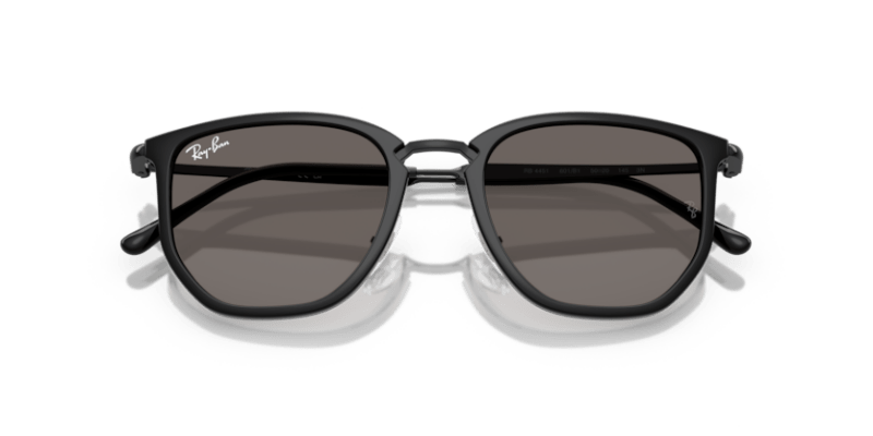 Black - 0RB4451 8056262415603