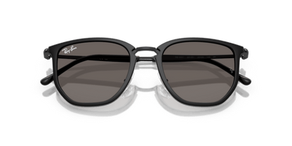 Black - 0RB4451 8056262415603