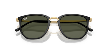 Black - 0RB4451 8056262415641