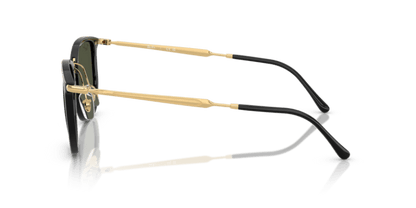 Black - 0RB4451 8056262415641