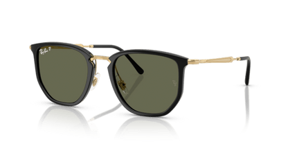 Black - 0RB4451 8056262495216