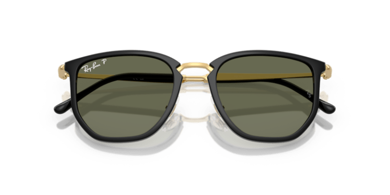 Black - 0RB4451 8056262495216