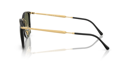 Black - 0RB4451 8056262495216