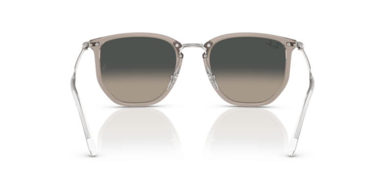 Transparent Grey - 0RB4451 8056262415726