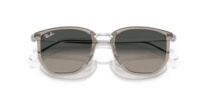 Transparent Grey - 0RB4451 8056262415726