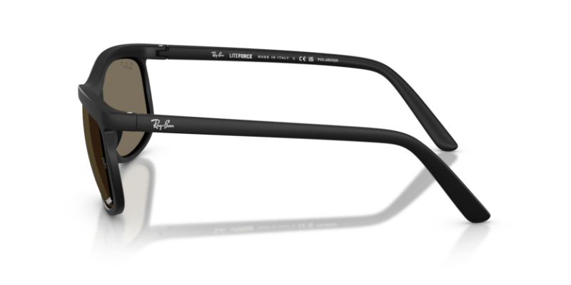 Sand Black - 0RB4452CH 8056262484203