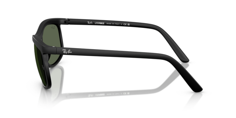 Sand Black - 0RB4452 8056262481639