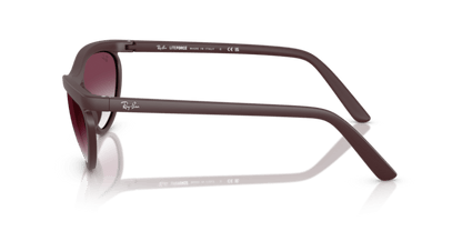 Sand Dark Violet - 0RB4453 8056262481769