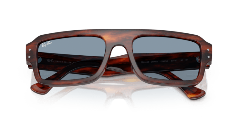 Striped Havana - 0RB4454 8056262418437