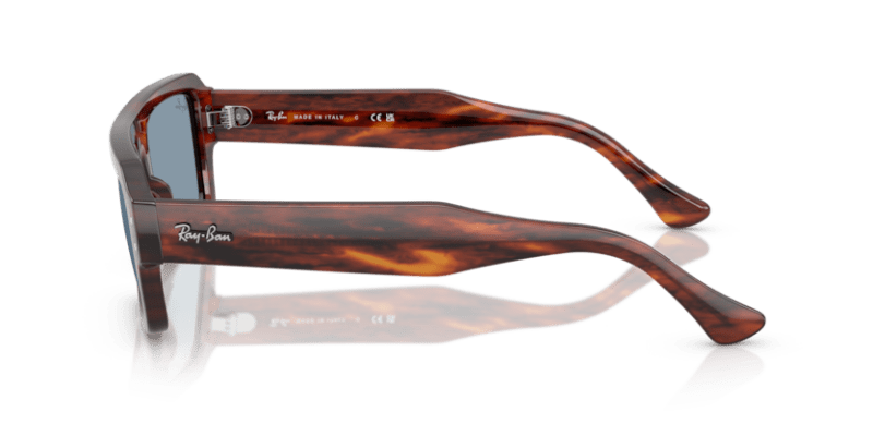 Striped Havana - 0RB4454 8056262418437