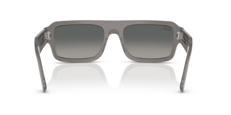 Transparent Grey - 0RB4454 8056262416389