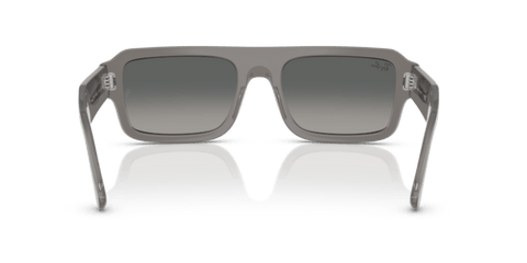 Transparent Grey - 0RB4454 8056262416389