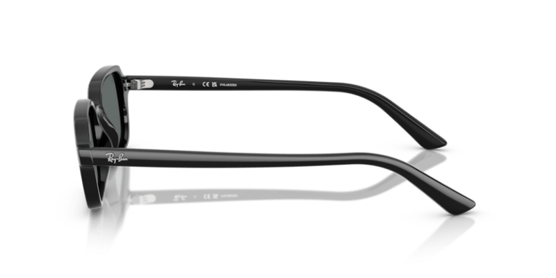 Black - 0RB4455 8056262464991