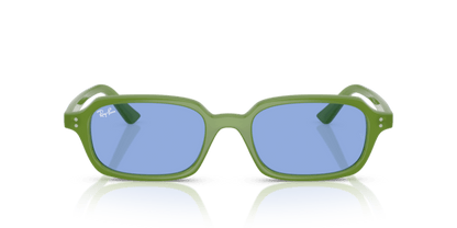 Cloudy Jungle Green - 0RB4455 8056262454169