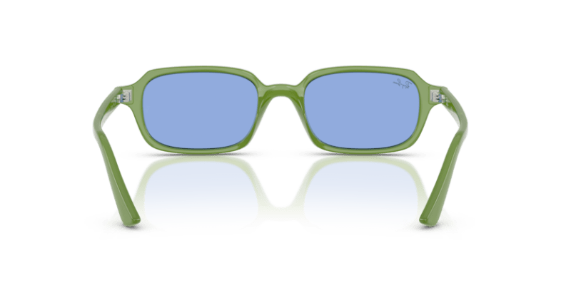 Cloudy Jungle Green - 0RB4455 8056262454169