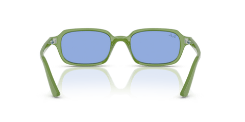 Cloudy Jungle Green - 0RB4455 8056262454169