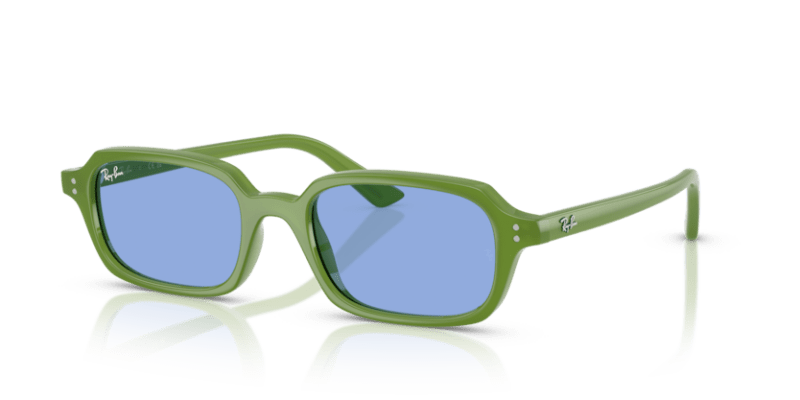 Cloudy Jungle Green - 0RB4455 8056262454169