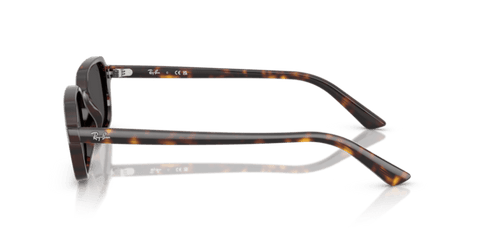 Havana - 0RB4455 8056262454022