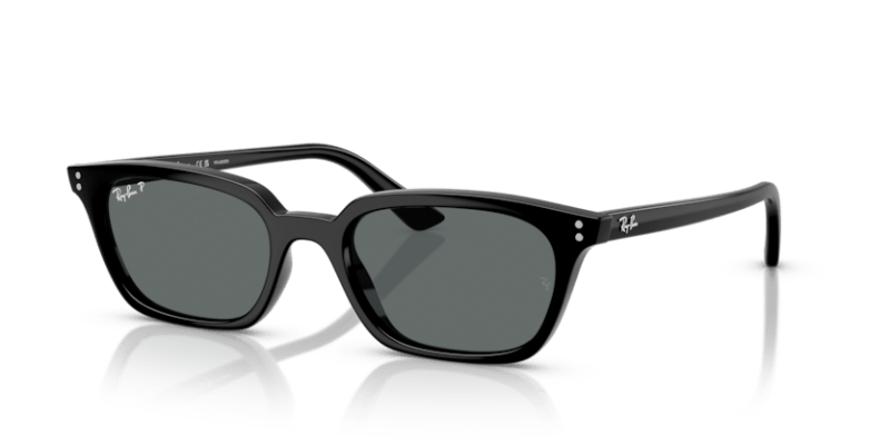 Black - 0RB4456 8056262464656