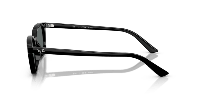 Black - 0RB4456 8056262464656