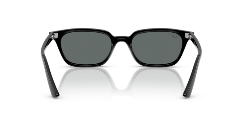 Black - 0RB4456 8056262464656