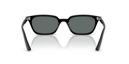 Black - 0RB4456 8056262464656