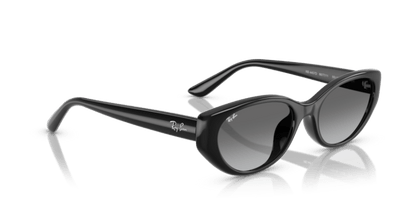 Black - 0RB4457D 8056262458129