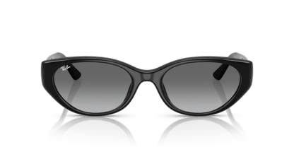 Black - 0RB4457D 8056262458129