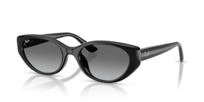 Black - 0RB4457D 8056262458129