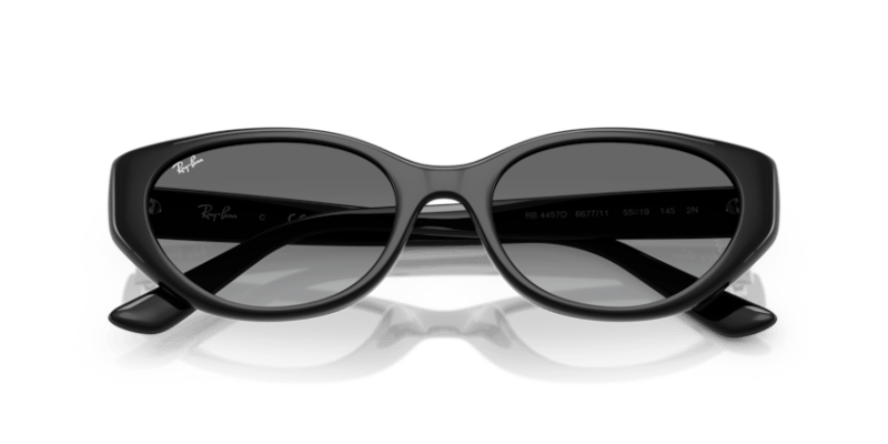 Black - 0RB4457D 8056262458129