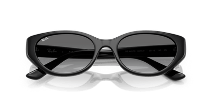 Black - 0RB4457D 8056262458129