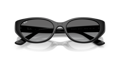 Black - 0RB4457D 8056262458129