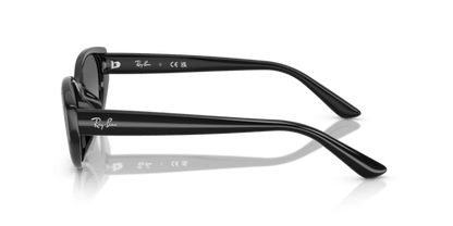 Black - 0RB4457D 8056262458129