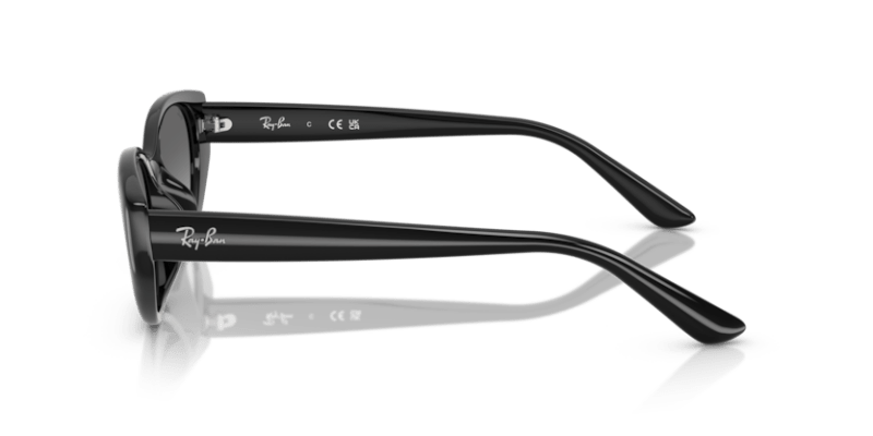 Black - 0RB4457D 8056262458129