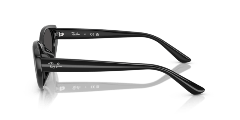 Black - 0RB4457D 8056262458136