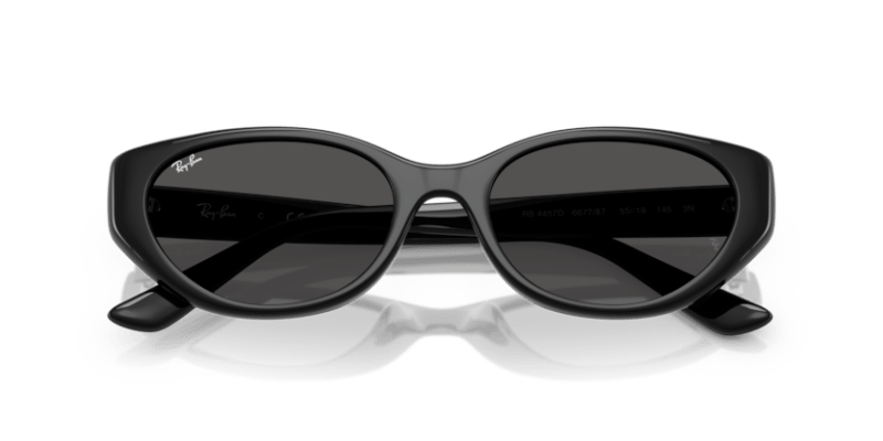 Black - 0RB4457D 8056262458136