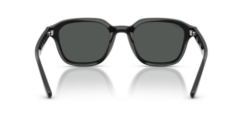 Black - 0RB4458D 8056262458174