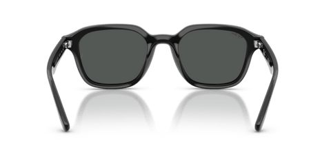Black - 0RB4458D 8056262458174