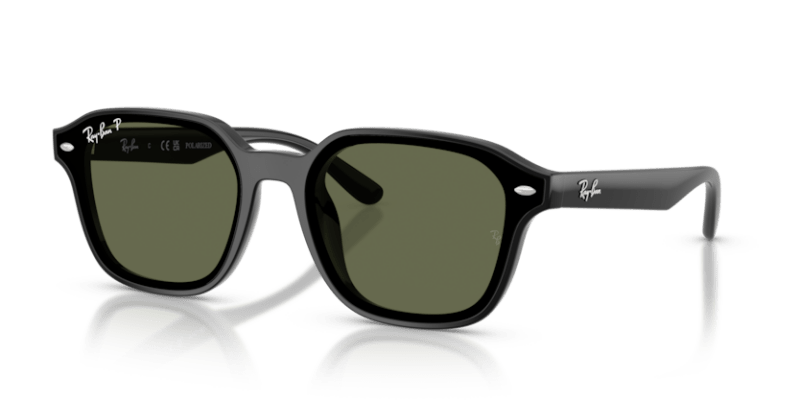 Black - 0RB4458D 8056262458181