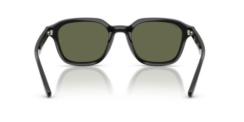 Black - 0RB4458D 8056262458181