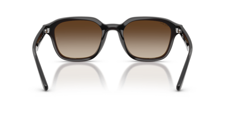 Transparent Dark Brown - 0RB4458D 8056262458204