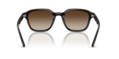 Transparent Dark Brown - 0RB4458D 8056262458204