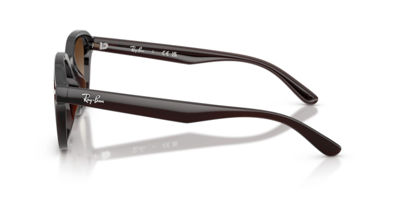 Transparent Dark Brown - 0RB4458D 8056262458204