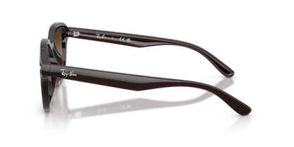 Transparent Dark Brown - 0RB4458D 8056262458204