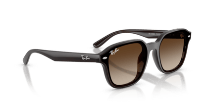 Transparent Dark Brown - 0RB4458D 8056262458204